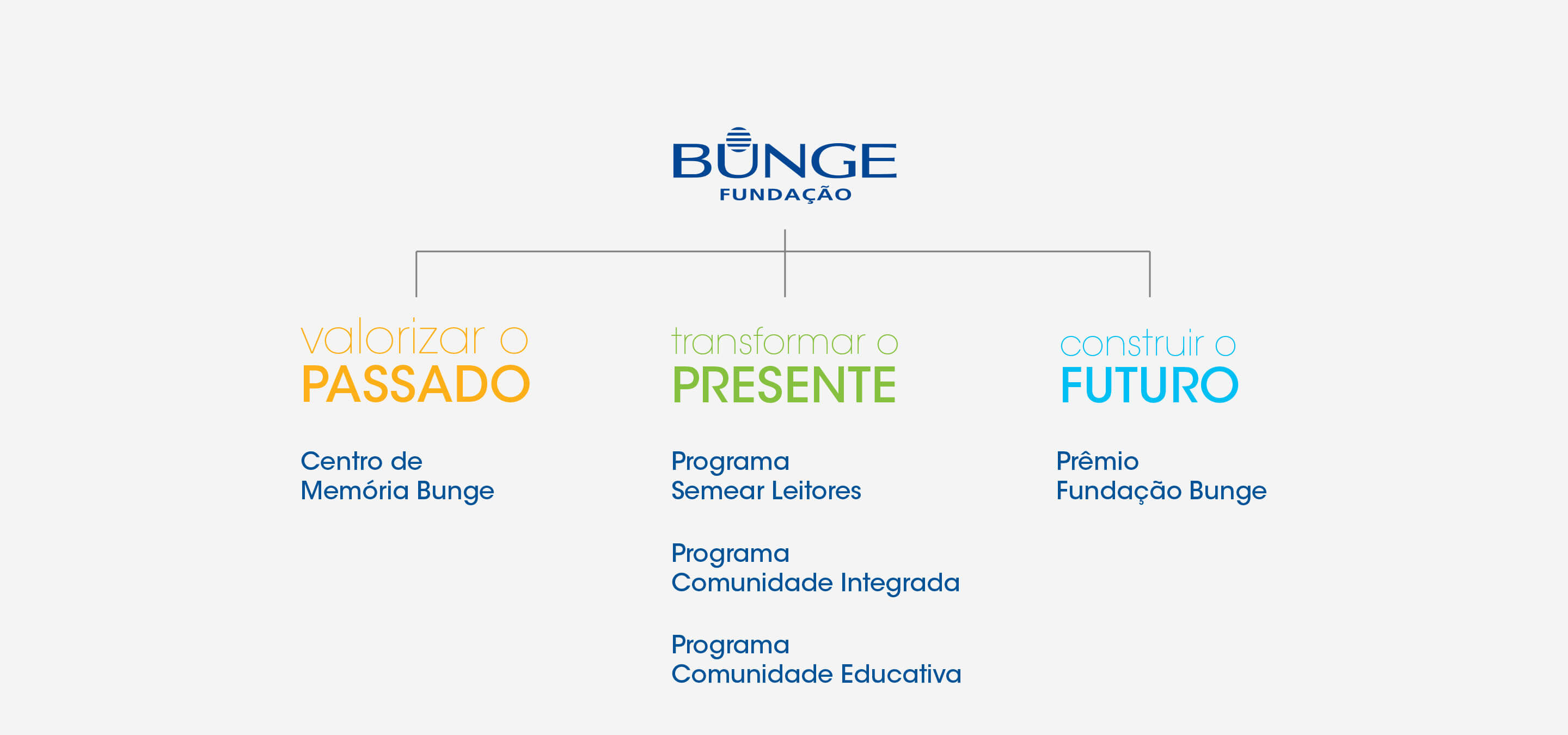 FundacaoBunge Identidade ArquiteturaMarcas PT